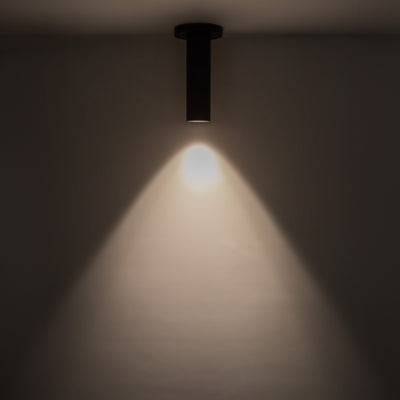 Lorna 8-in (2-in Dia.) Aluminum Flush Mount