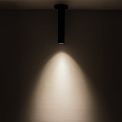 Lorna 12-in (2-in Dia.) Aluminum Flush Mount