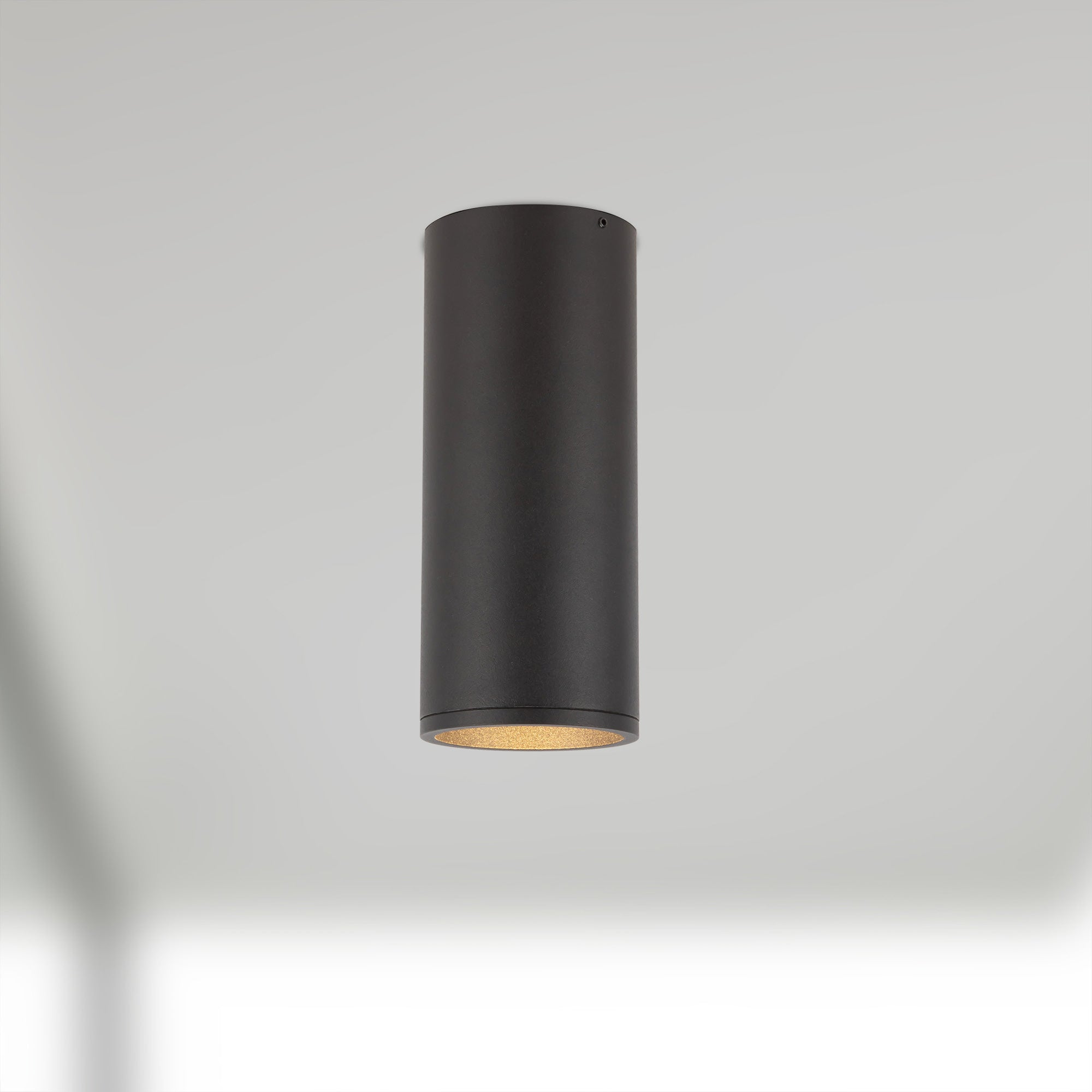 Lorna 10-in (3-in Dia.) Aluminum Flush Mount