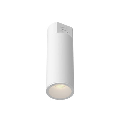 Lorna 10-in (3-in Dia.) Aluminum Flush Mount