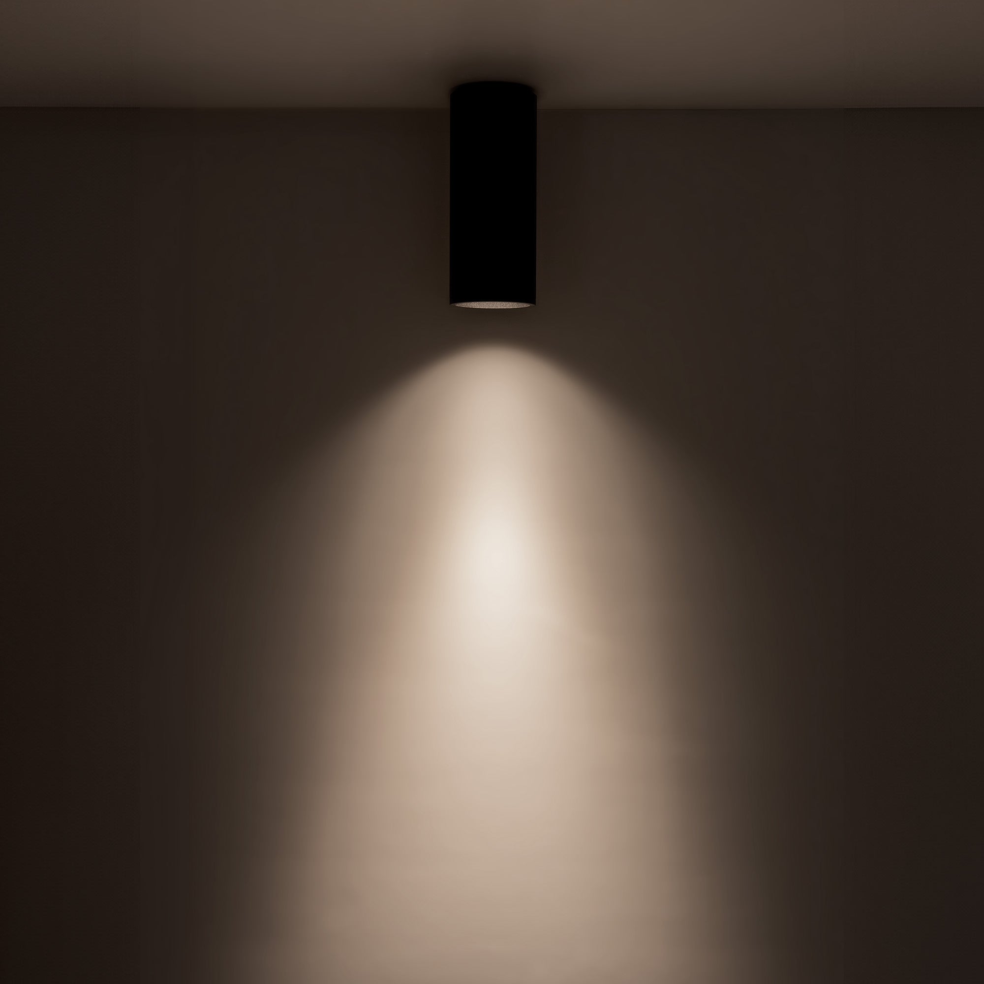 Lorna 7-in (3-in Dia.) Aluminum Flush Mount