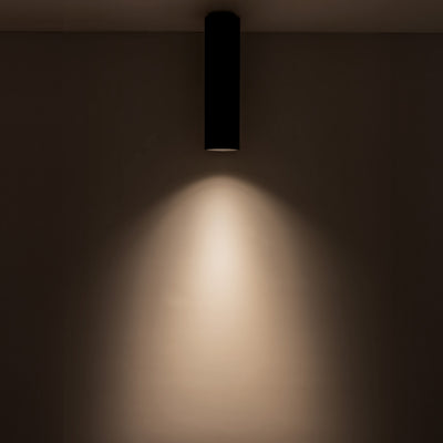 Lorna 11-in (3-in Dia.) Aluminum Flush Mount