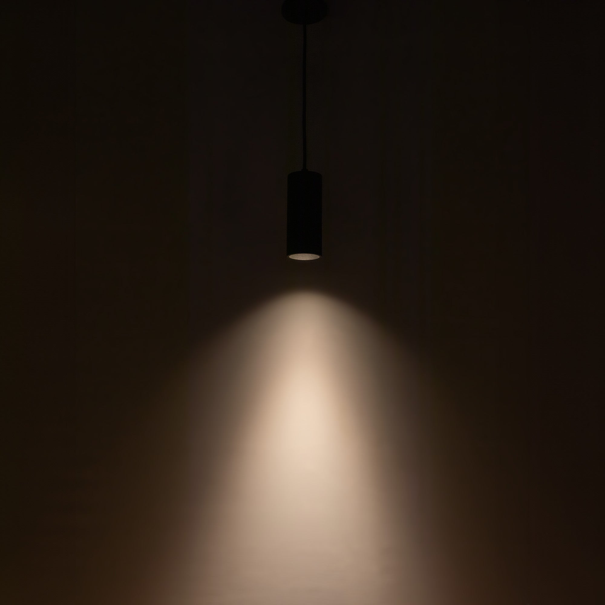 Lorna 8-in (3-in Dia.) Aluminum Pendant