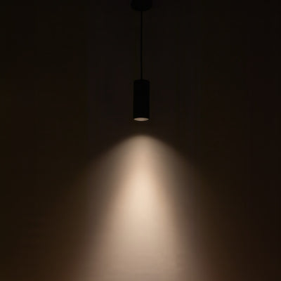 Lorna 8-in (3-in Dia.) Aluminum Pendant