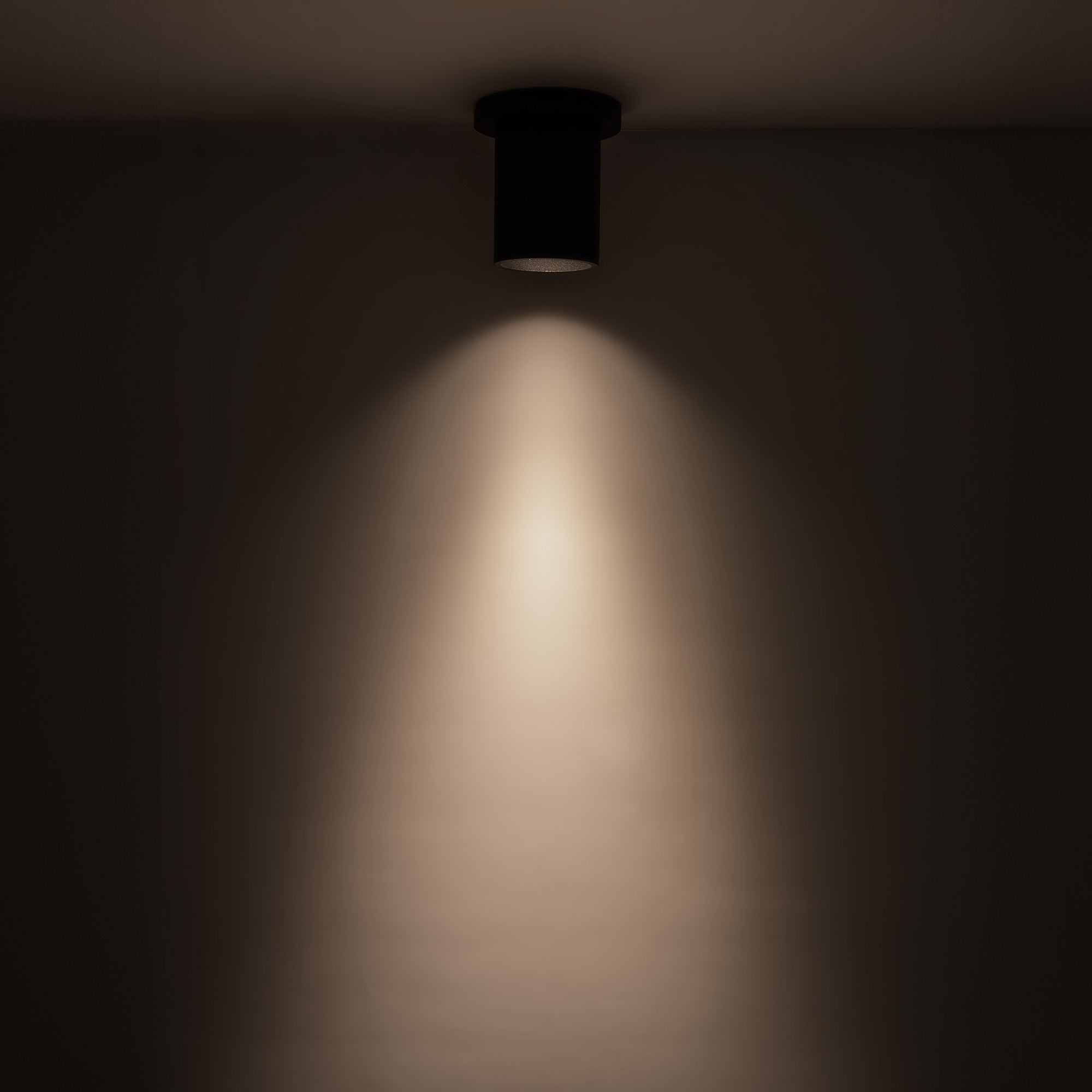 Lorna 4-in (3-in Dia.) Aluminum Flush Mount