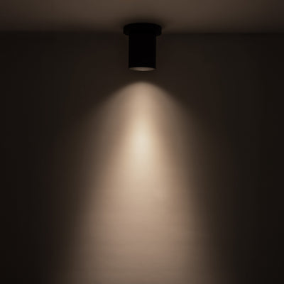 Lorna 4-in (3-in Dia.) Aluminum Flush Mount