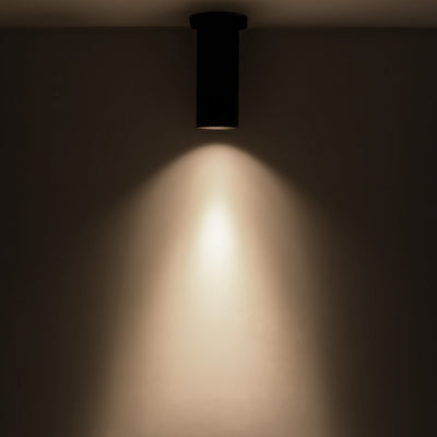 Lorna 8-in (3-in Dia.) Aluminum Flush Mount
