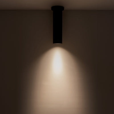 Lorna 12-in (3-in Dia.) Aluminum Flush Mount