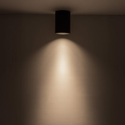 Lorna 6-in (4-in Dia.) Aluminum Flush Mount