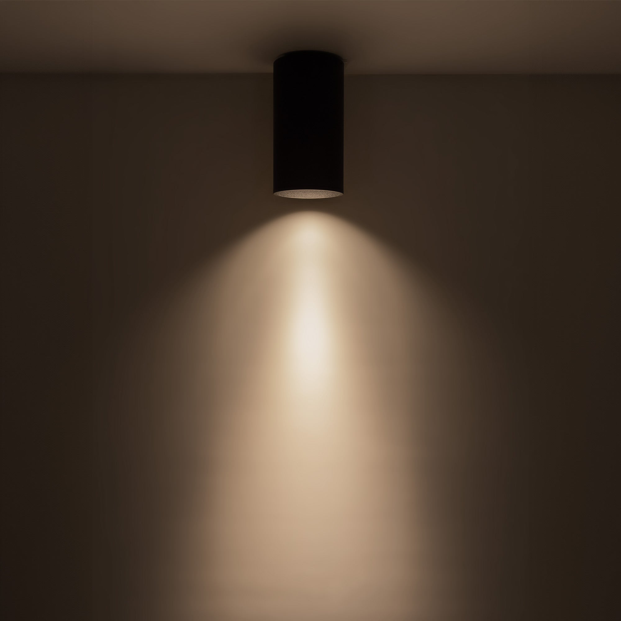 Lorna 8-in (4-in Dia.) Aluminum Flush Mount