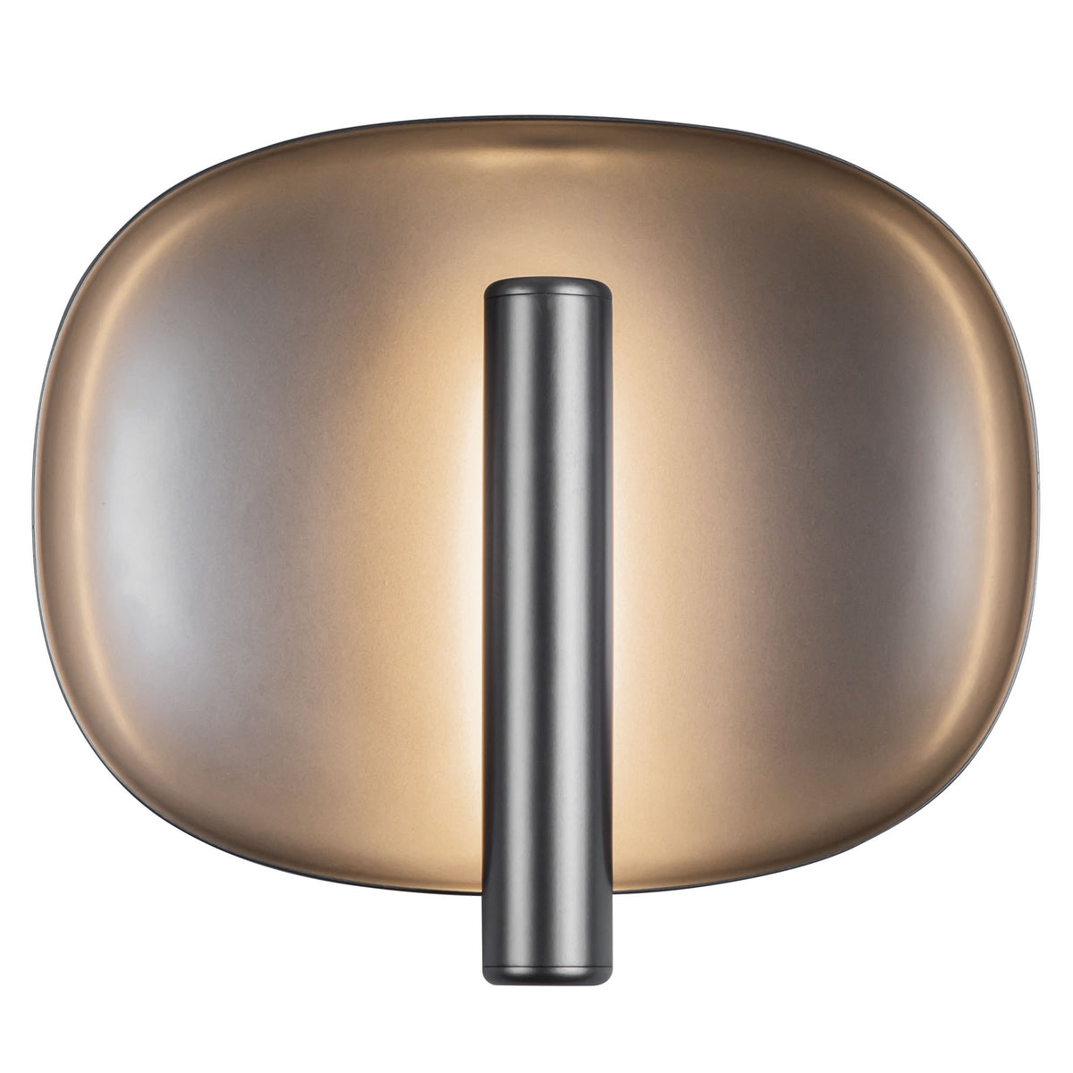 Lustre 9-in Aluminum Steel Wall Sconce