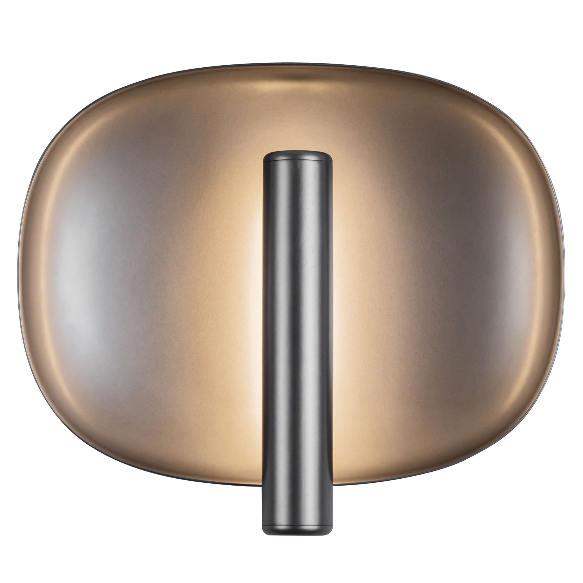 Lustre 9-in Aluminum Steel Wall Sconce