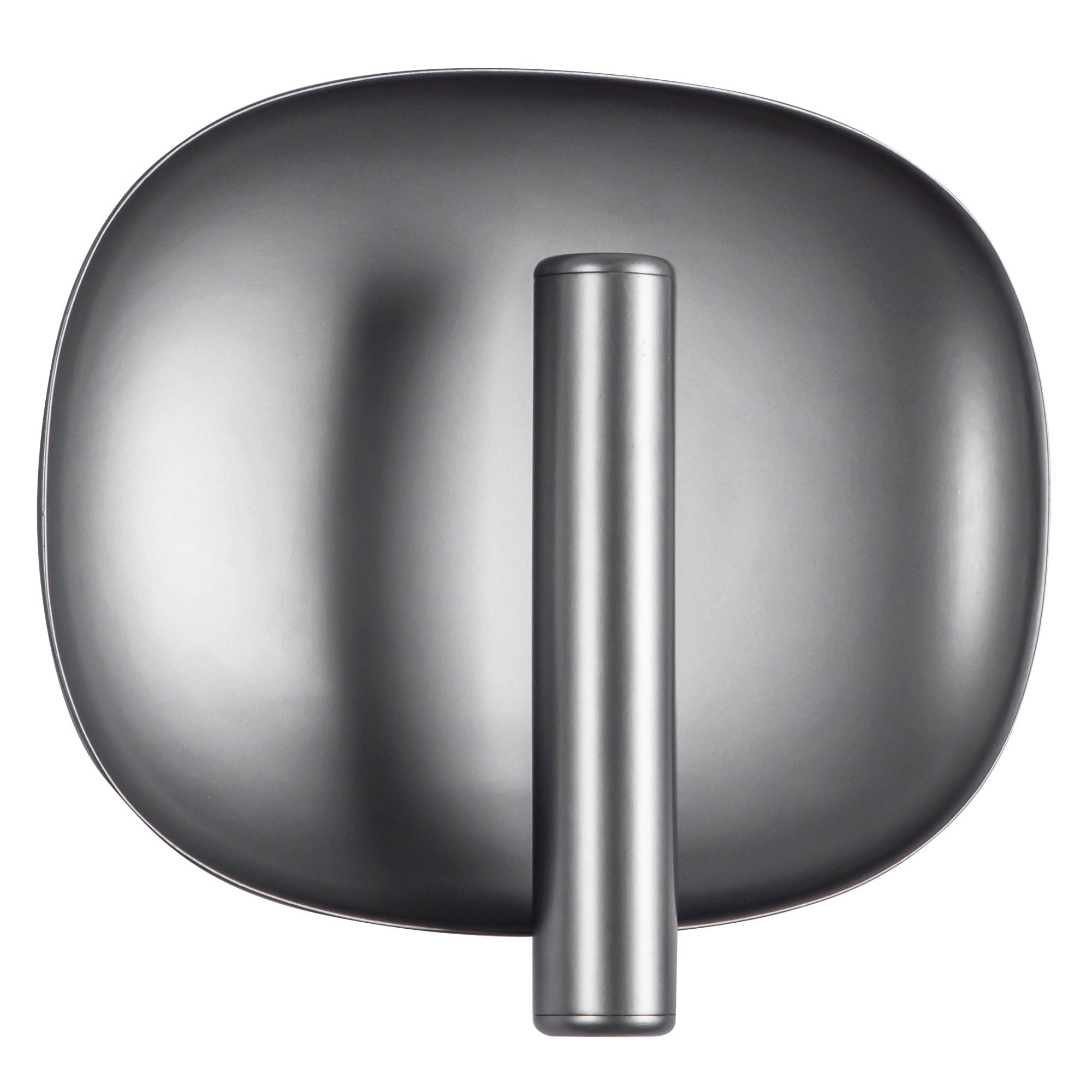 Lustre 9-in Aluminum Steel Wall Sconce