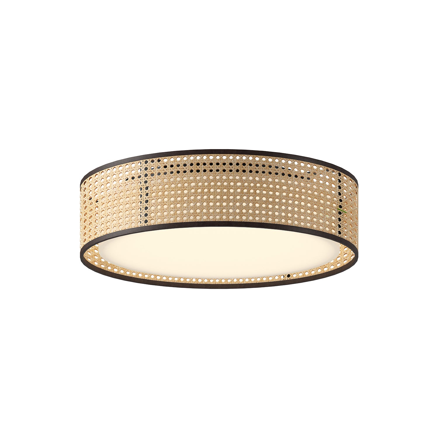 lyla-16-in-steel-flush-mount