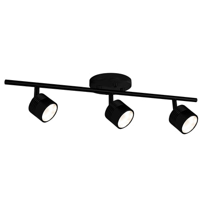 Lyra 22-in Steel Track Light