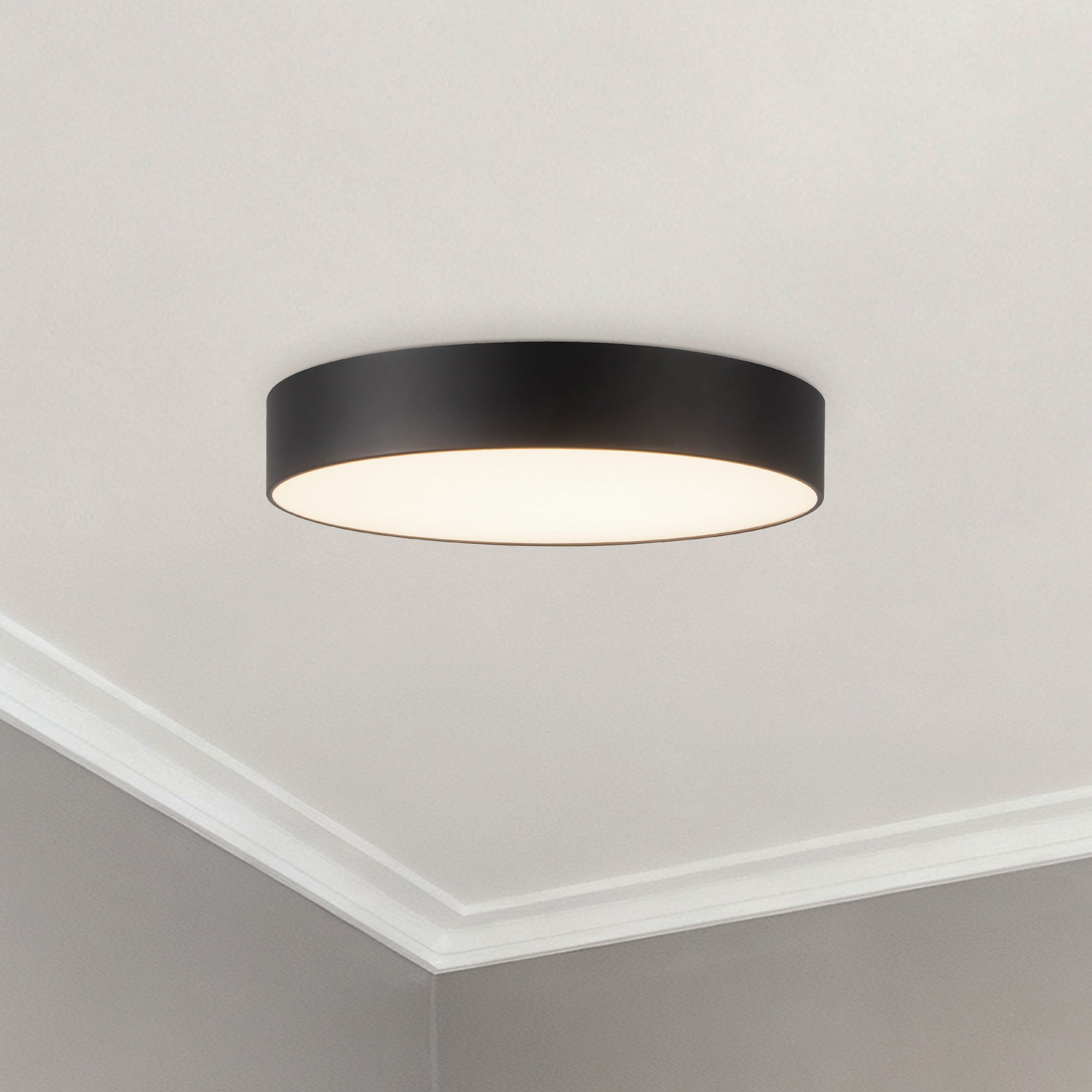 Musa 8-in Steel Flush Mount