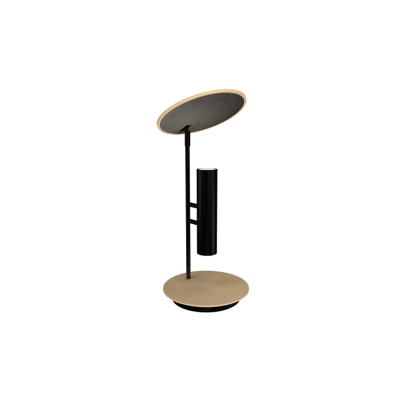 19.69'' Artisan Petra Accord Table Lamp Light