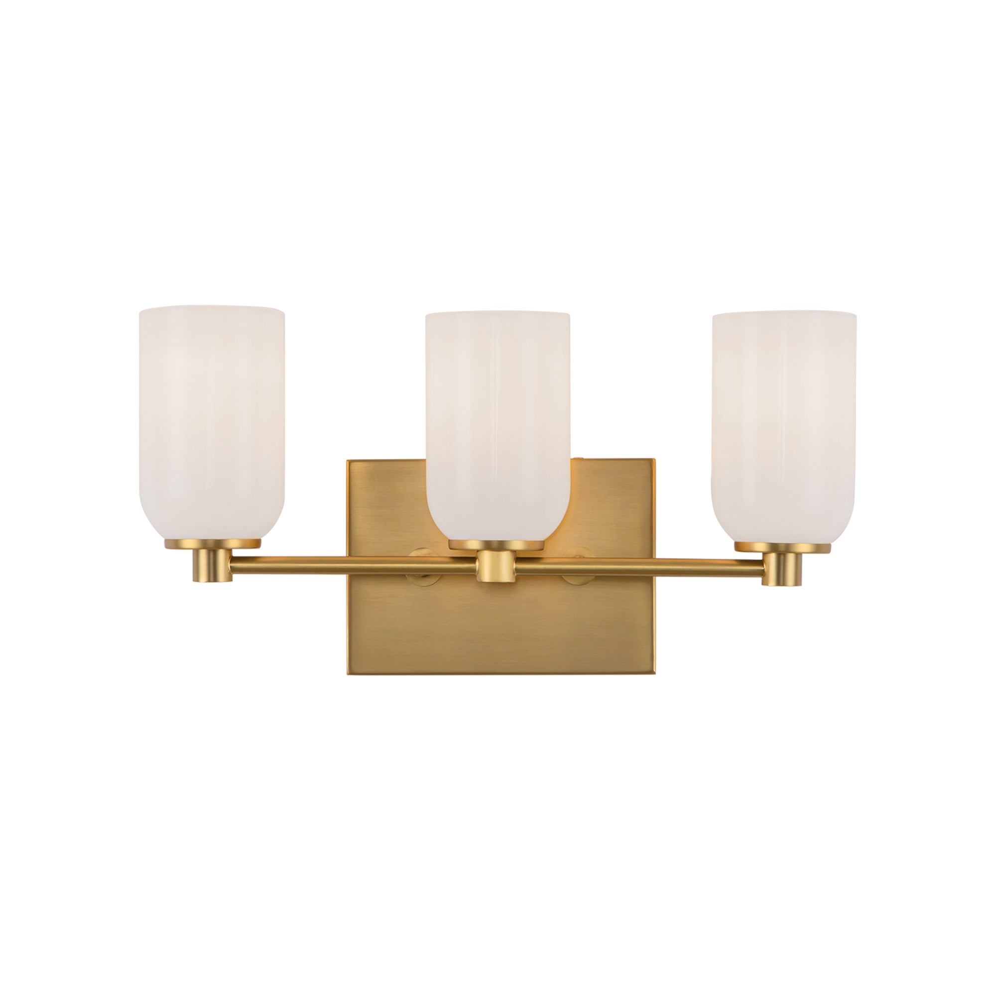 Nola 18-in Steel Vanity Light