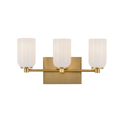 Nola 18-in Steel Vanity Light