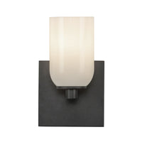Nola 4-in Steel Wall Sconce