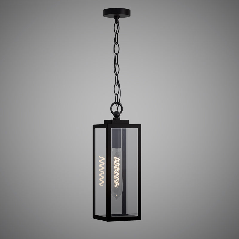 1 Lights Terra 17-in Pendant Black powder Coated  Dimmable 60W