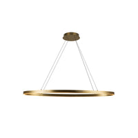 Ovale 40-in Aluminum Linear Pendant