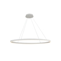 Ovale 40-in Aluminum Linear Pendant