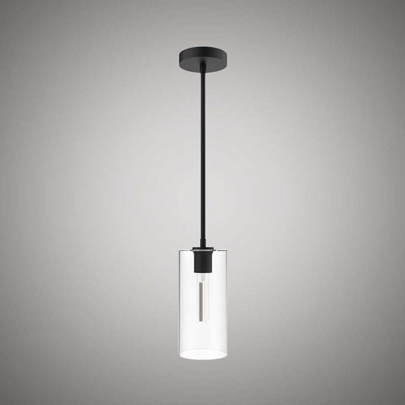 1 Lights  Blake Pendant  Clear Glass Matte Black