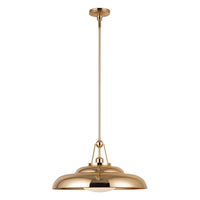 Palmetto 20-in Steel Pendant
