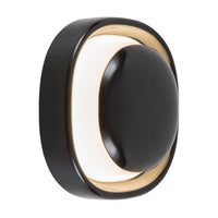 Pebble 8-in Brass Wall Sconce
