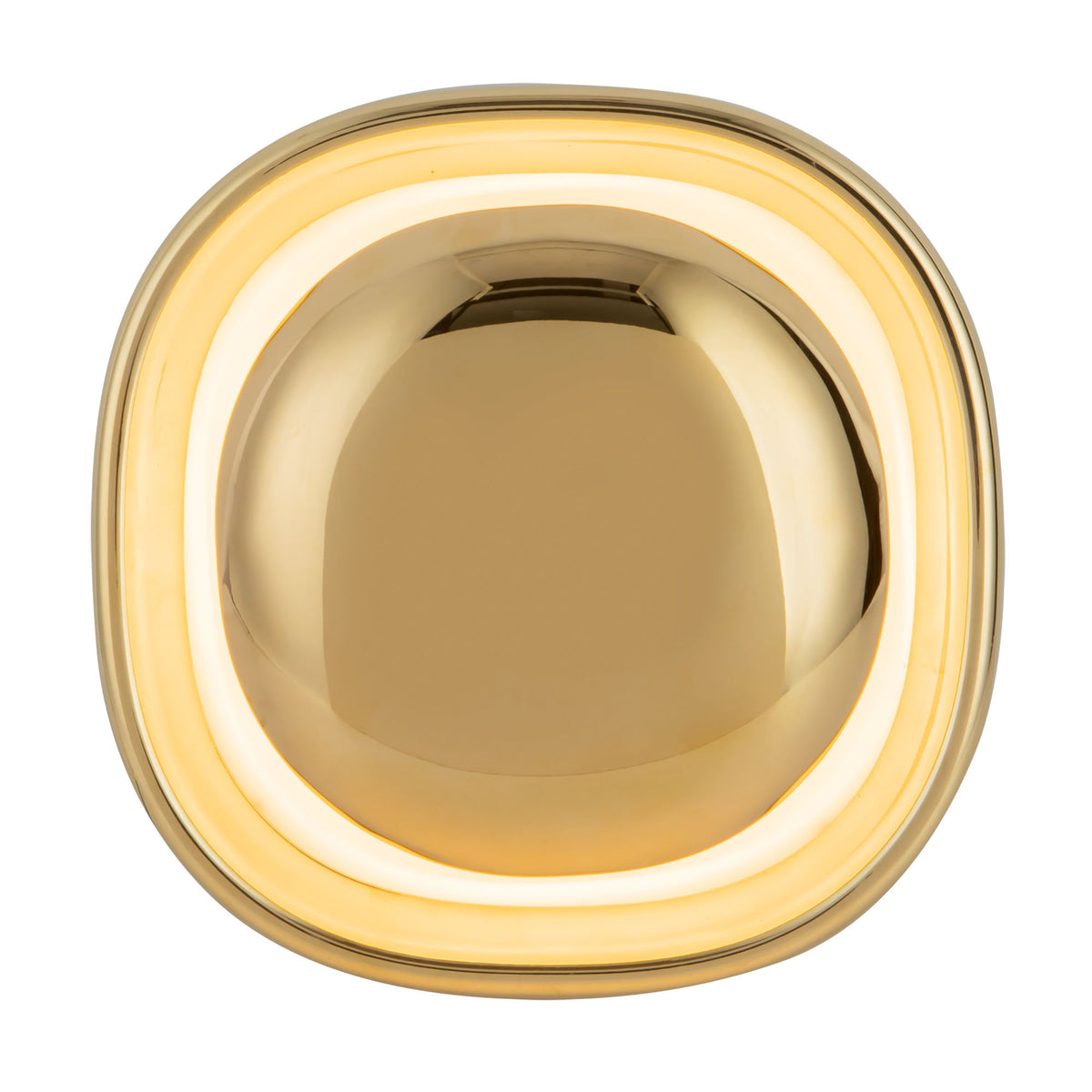 Pebble 8-in Brass Wall Sconce