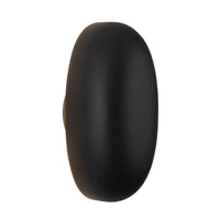 Perle 10-in Aluminum Steel Wall Sconce