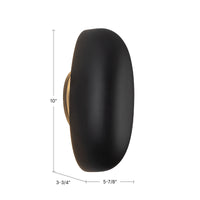 Perle 10-in Aluminum Steel Wall Sconce