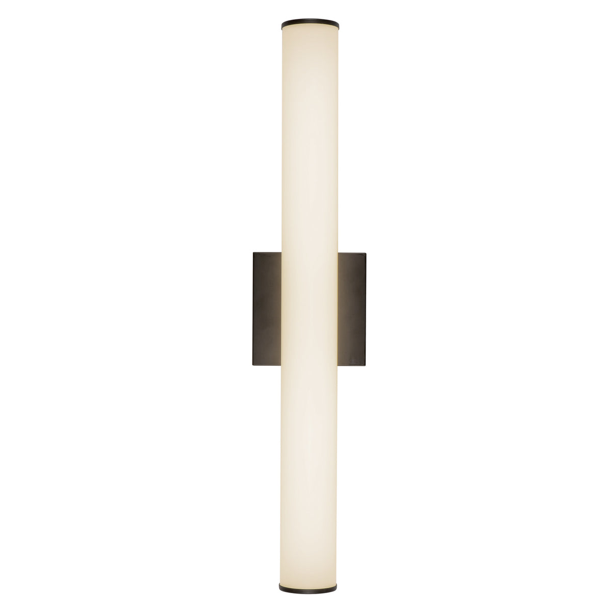 Rico 24-in Aluminum Steel Acrylic Wall Sconce