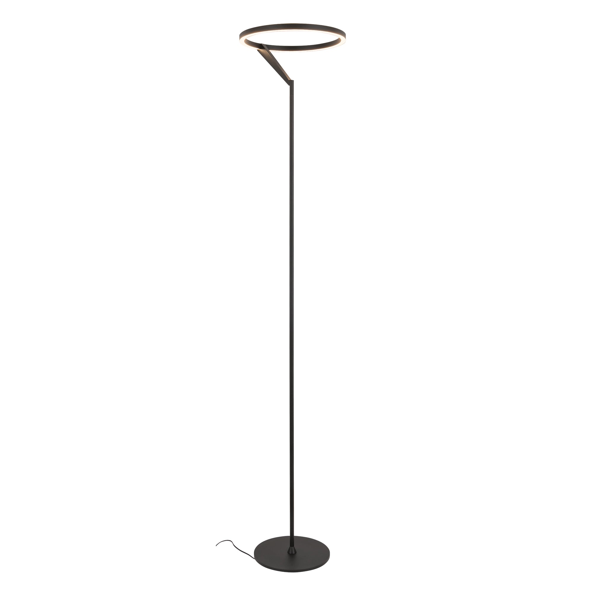 Roda 66-in Aluminum Floor Lamp