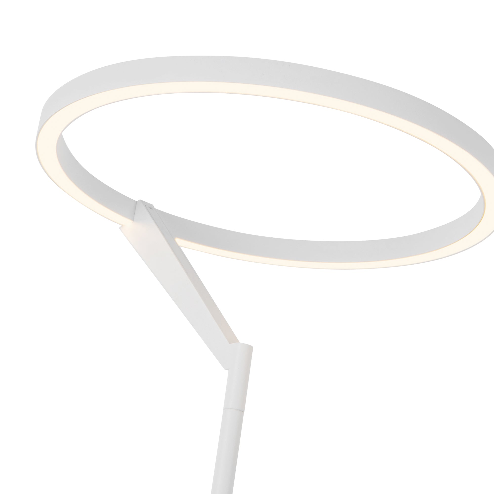 Roda 66-in Aluminum Floor Lamp
