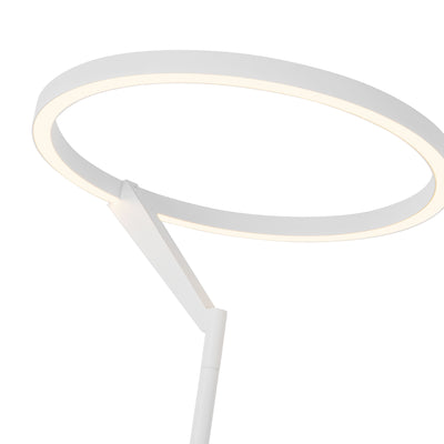 Roda 66-in Aluminum Floor Lamp