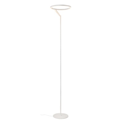 Roda 66-in Aluminum Floor Lamp
