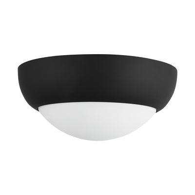Rubio 11-in Steel Flush Mount