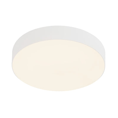 Rynn 5-in Aluminum Flush Mount