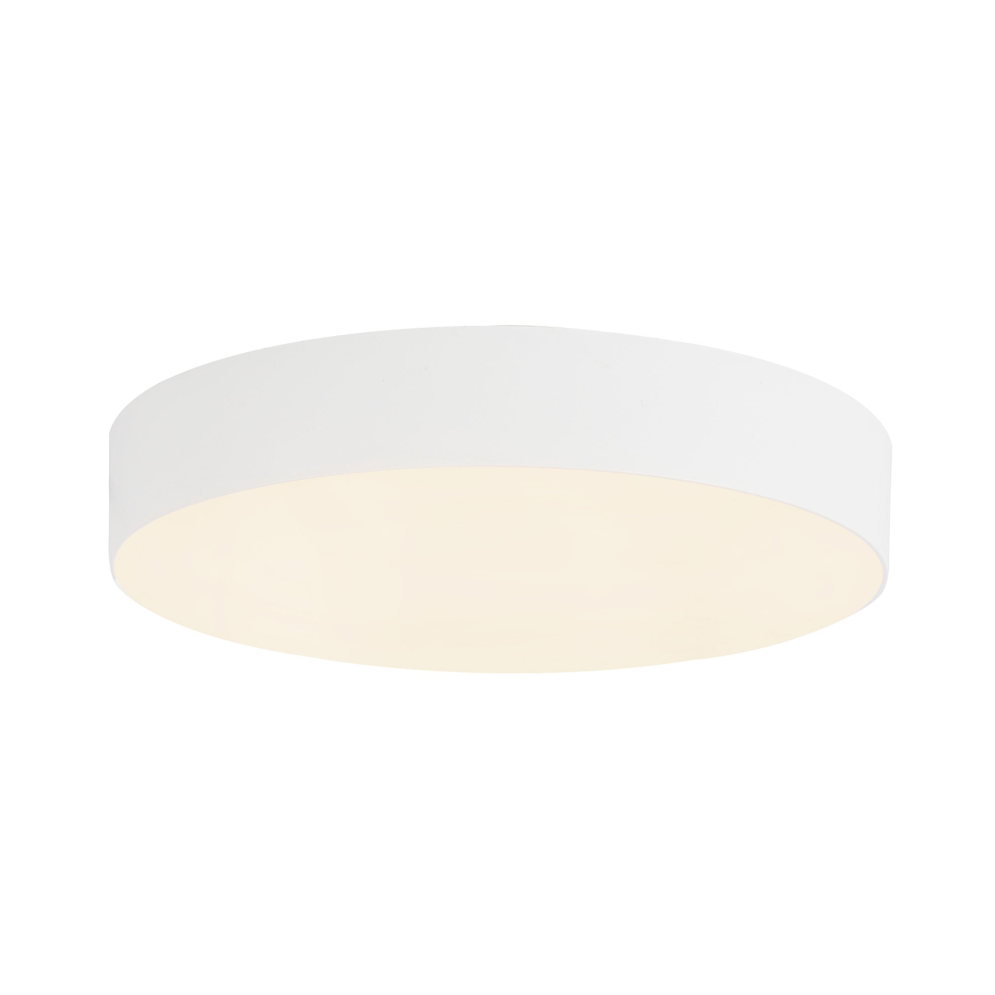 Rynn 5-in Aluminum Flush Mount