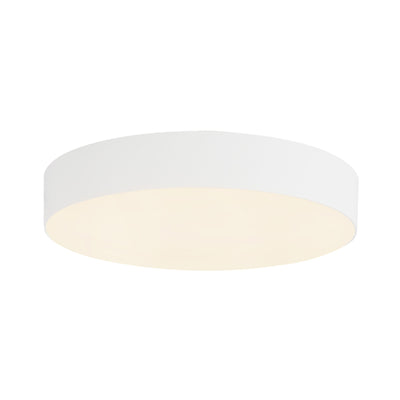 Rynn 5-in Aluminum Flush Mount
