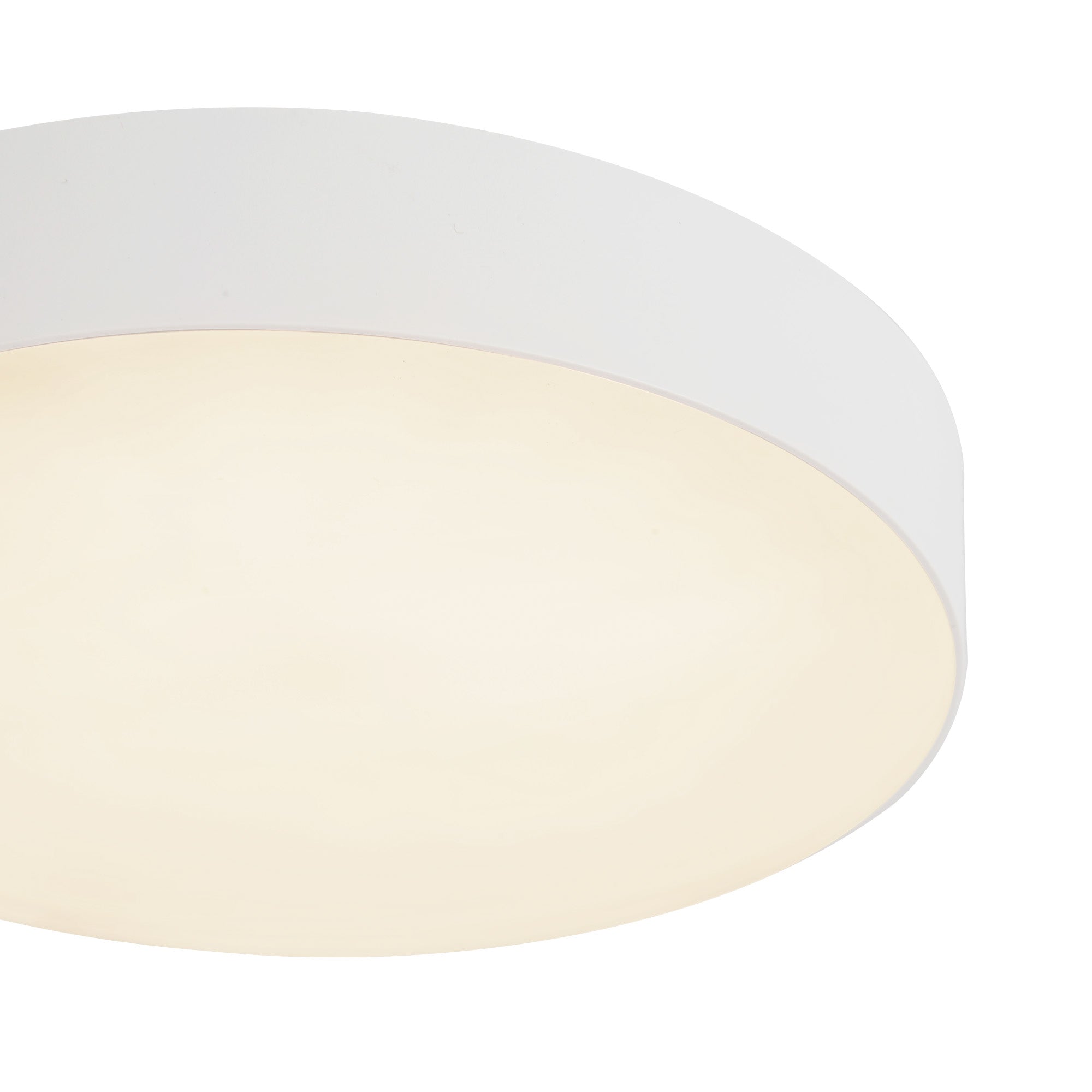 Rynn 5-in Aluminum Flush Mount
