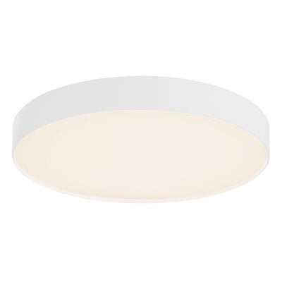 Rynn 7-in Aluminum Flush Mount