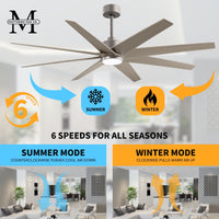 64-inch Ariella 8-Blade Ceiling Fan with LED Light