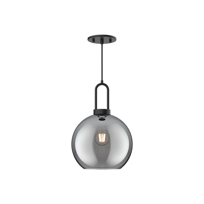 Soji 10-in Clear Glass Socket Pendant
