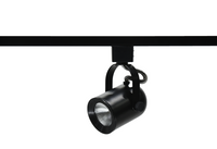 2.5-inch Black Track Head with 3000K Light