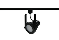 4-inch Black Track Head with 3000K Light