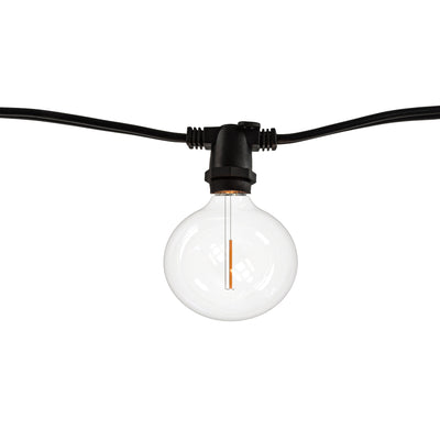 14-foot Black G16 LED String Light Kit with 10 Bulbs, 2700K