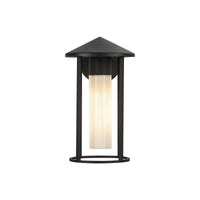 Tenko 12-in Aluminum Outdoor Wall Light
